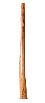 Natural Finish Flared Didgeridoo (TW1813)